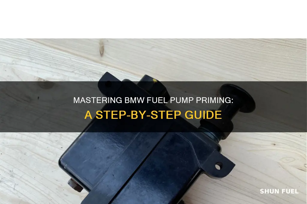 how to prime bmw fuel pump