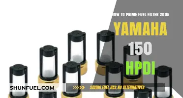 Priming a Yamaha HPDI 150 Fuel Filter: Step-by-Step Guide