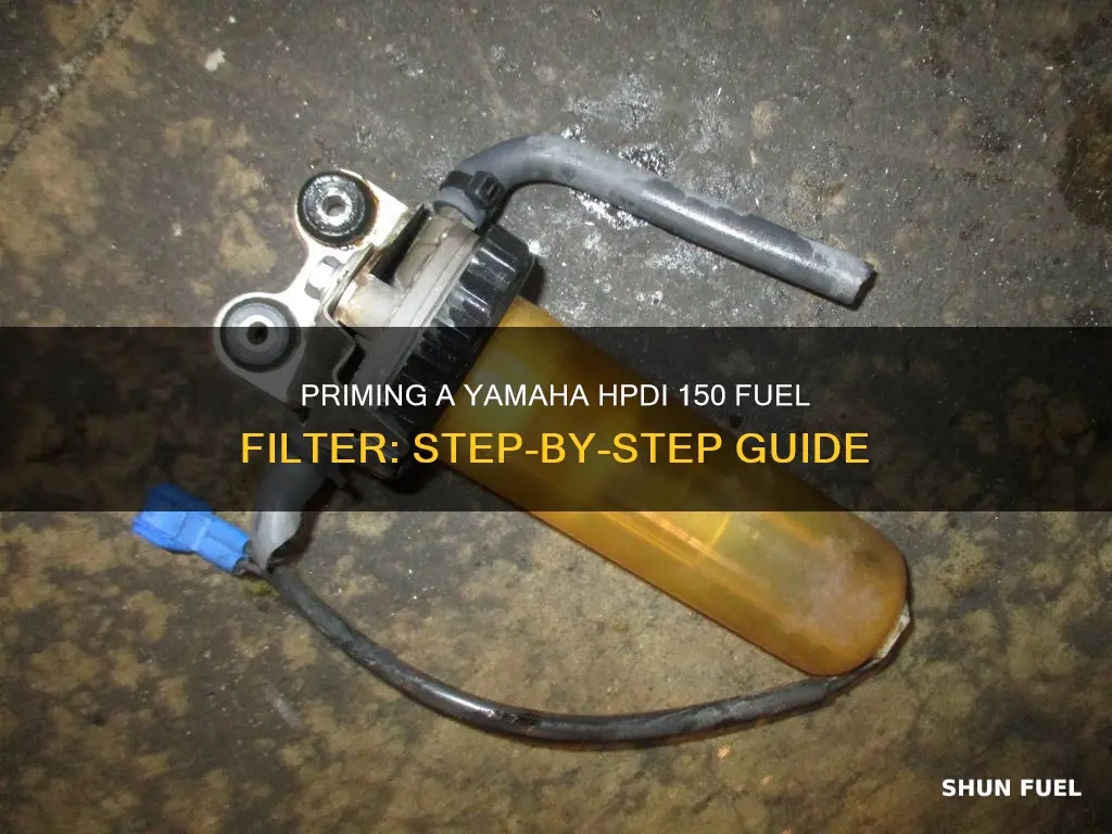 how to prime fuel filter 2005 yamaha 150 hpdi
