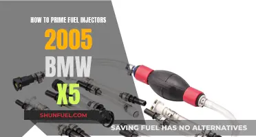 Priming Fuel Injectors: 2005 BMW X5 Guide