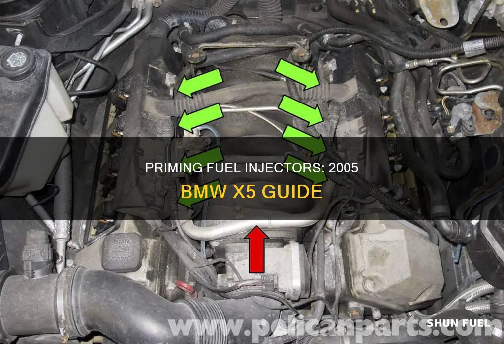how to prime fuel injectors 2005 bmw x5