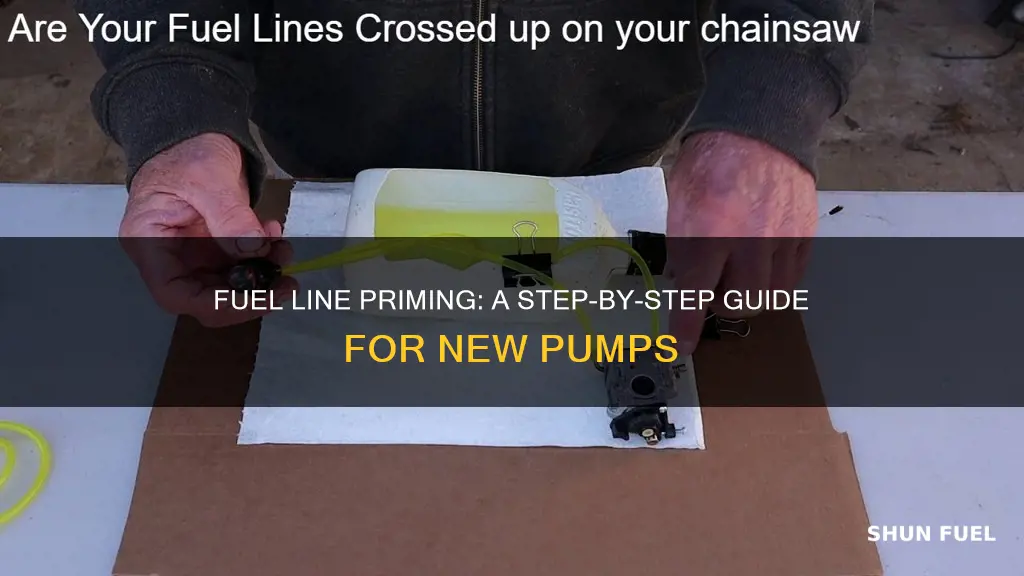 how to prime fuel line after new fuel pump install