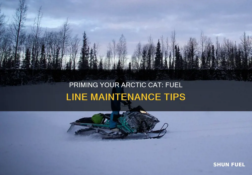 how to prime fuel line on arctic cat