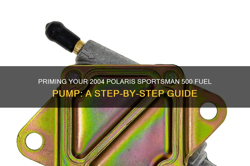 how to prime fuel pump on 2004 polaris sportsman 500