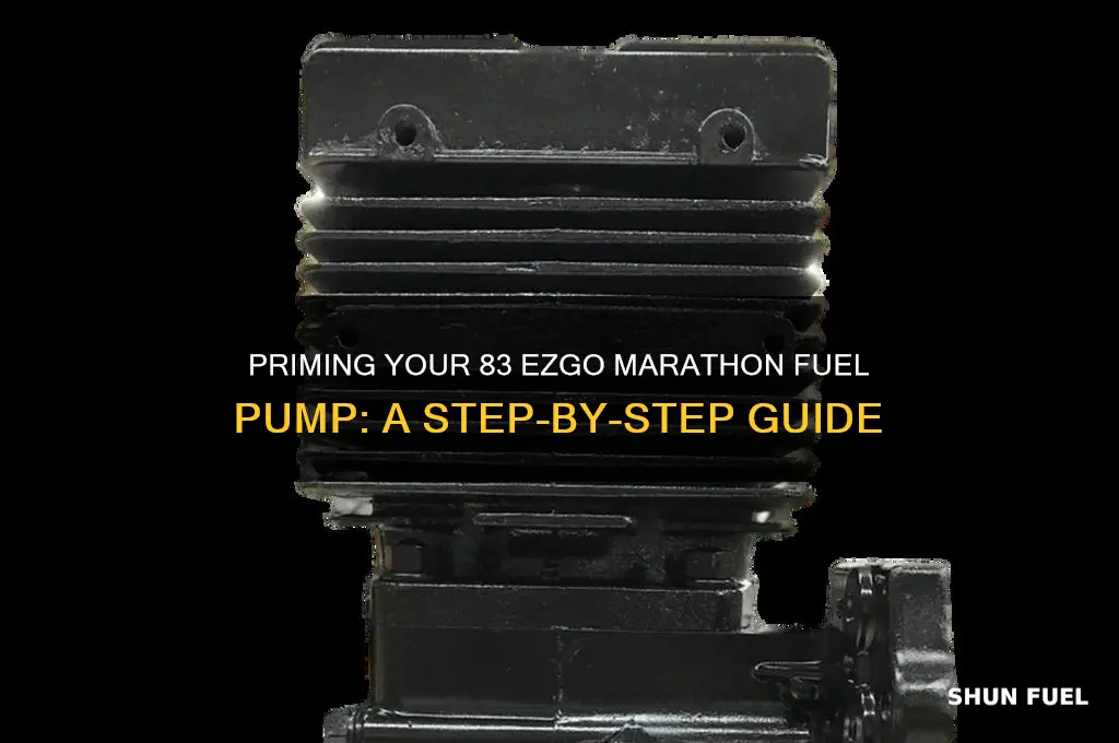 how to prime fuel pump on 83 ezgo marathon
