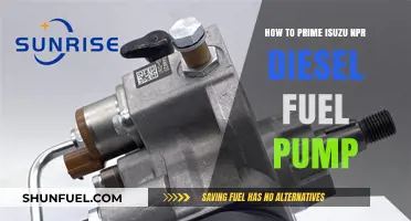 Priming Isuzu NPR Diesel Fuel Pump: Step-by-Step Guide