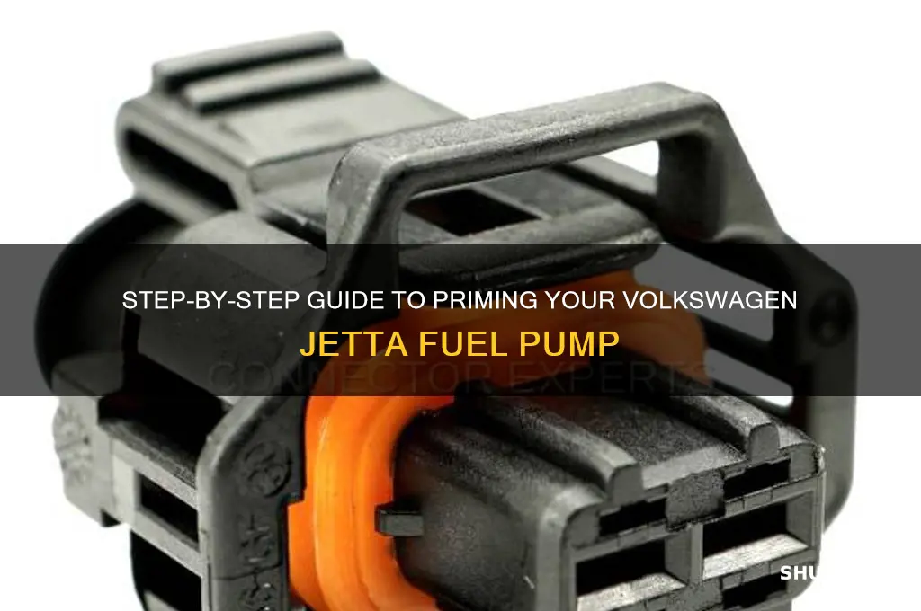 how to prime jetta fuel pump