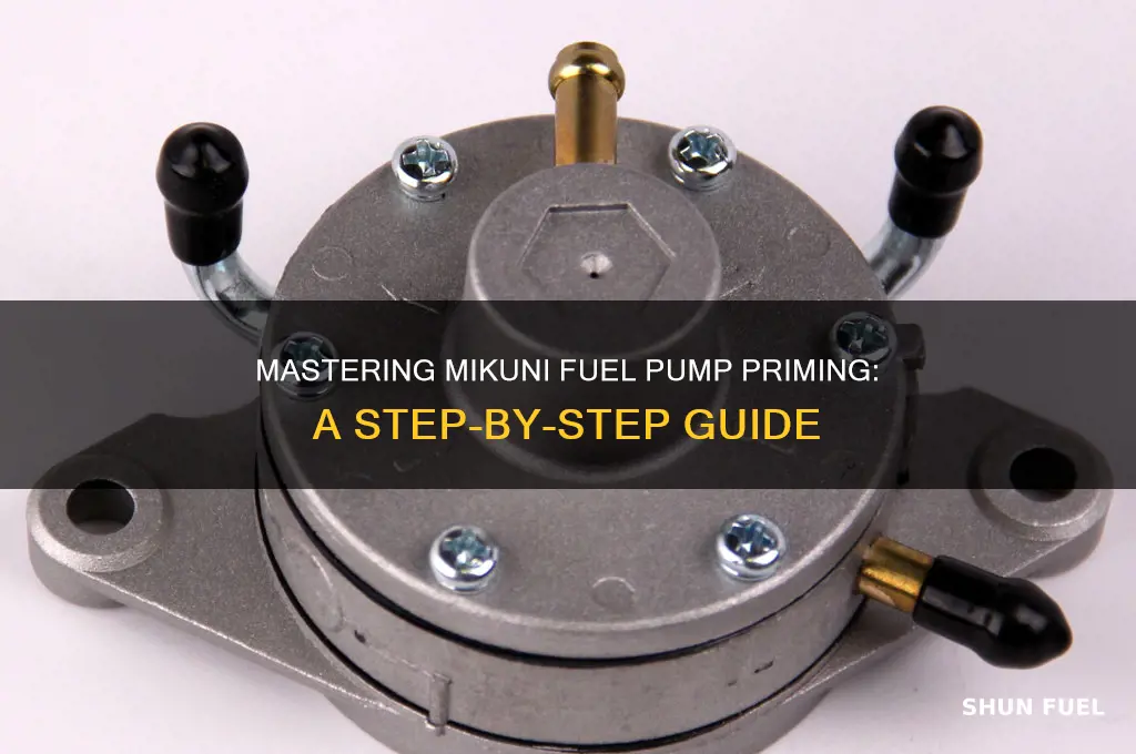 how to prime mikuni fuel pump
