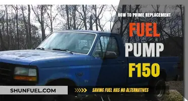 Prime Your F150's Replacement Fuel Pump: Step-by-Step Guide