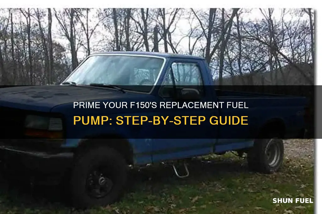 how to prime replacement fuel pump f150