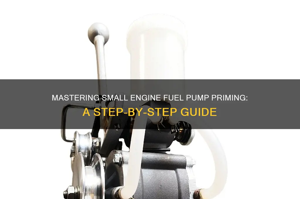 how to prime small engine fuel pump work