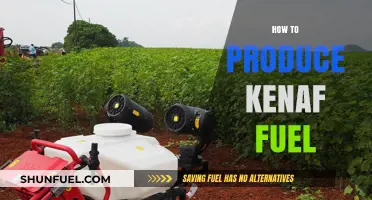 Sustainable Energy Solutions: Producing Kenaf Biofuel for a Greener Future