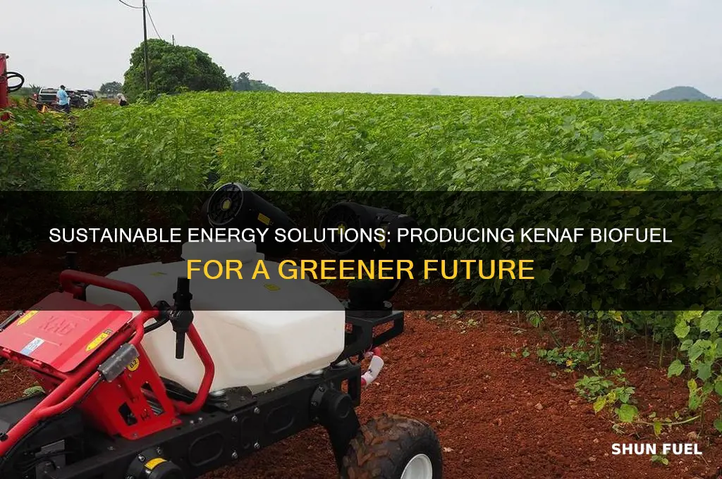 how to produce kenaf fuel