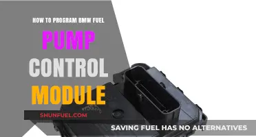 Mastering BMW Fuel Pump Control Module Programming: A Step-by-Step Guide