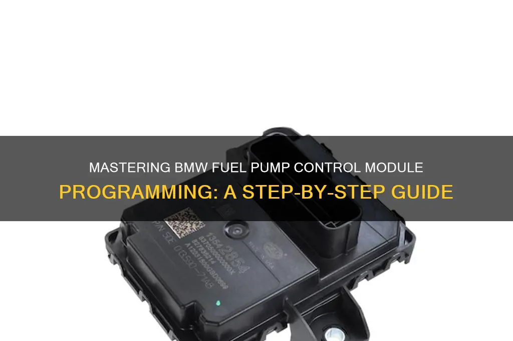 how to program bmw fuel pump control module