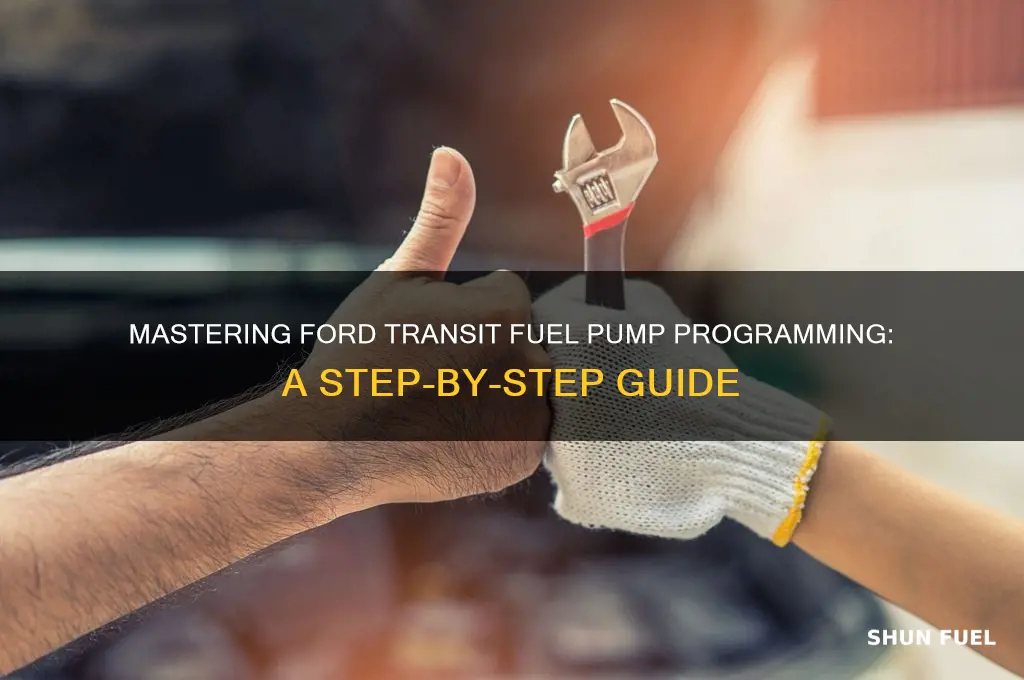 how to program ford transit fuel pump