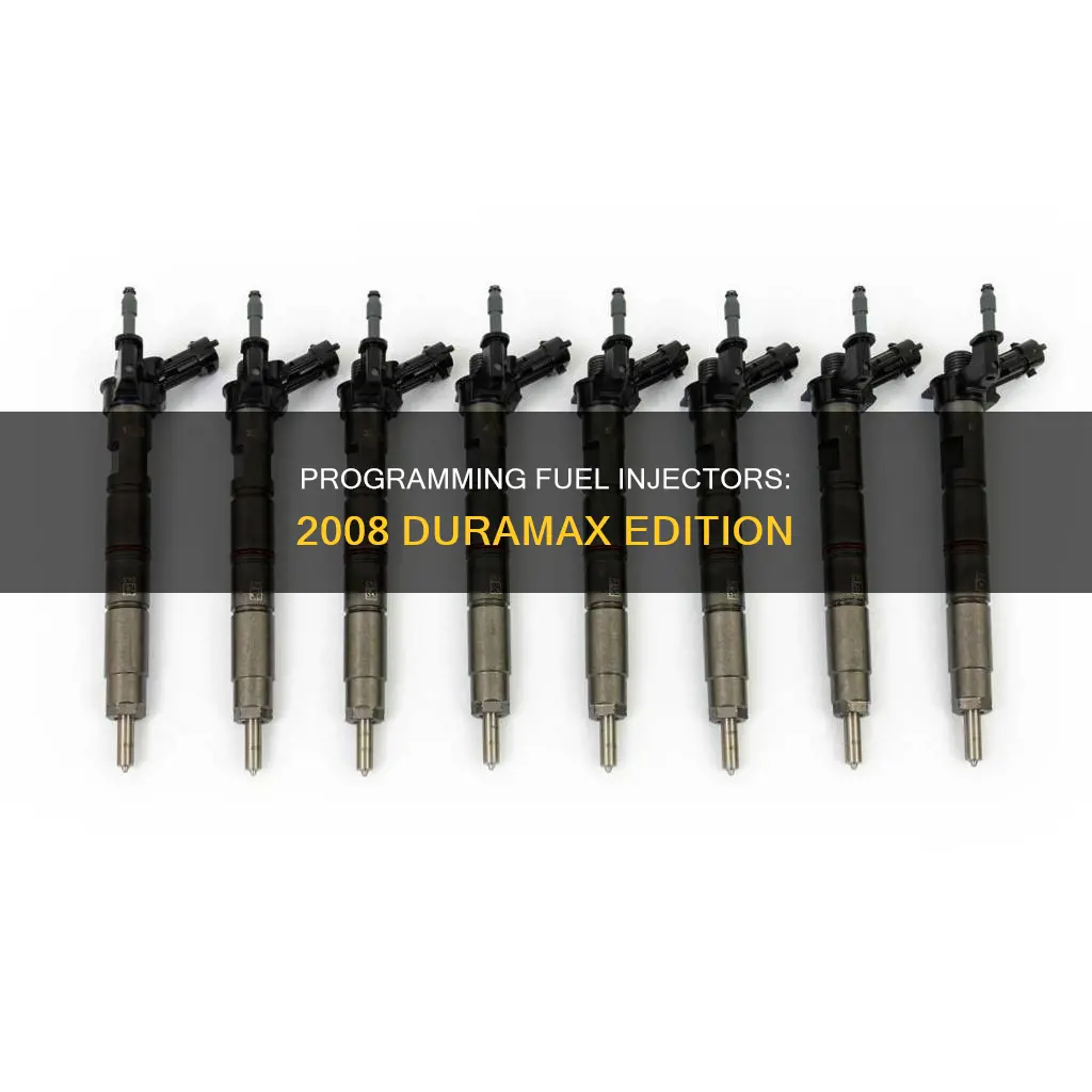 how to program fuel injectors on 2008 duramax