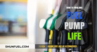 Maximize Fuel Pump Longevity: Essential Tips for Optimal Performance
