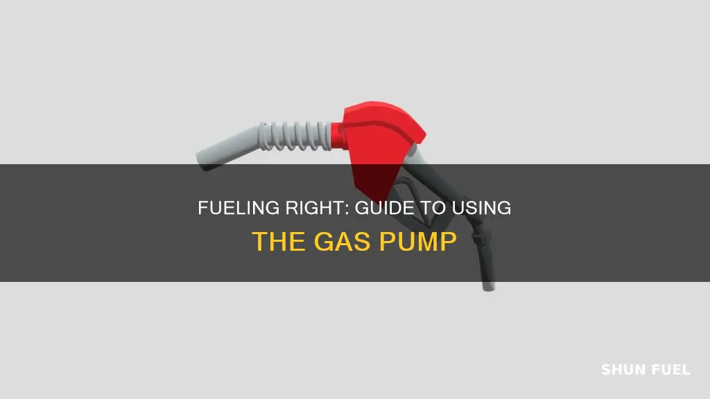 how to properly put gas pump in the fuel tank