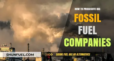 Prosecuting Big Fossil Fuel: Legal Strategies for Accountability and Justice