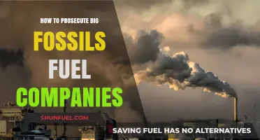 Prosecuting Big Fossil Fuel Companies: Legal Strategies for Climate Accountability
