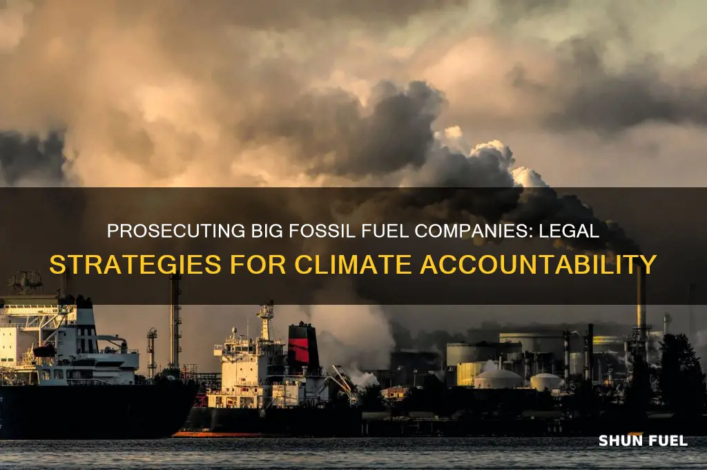 how to prosecute big fossils fuel companies