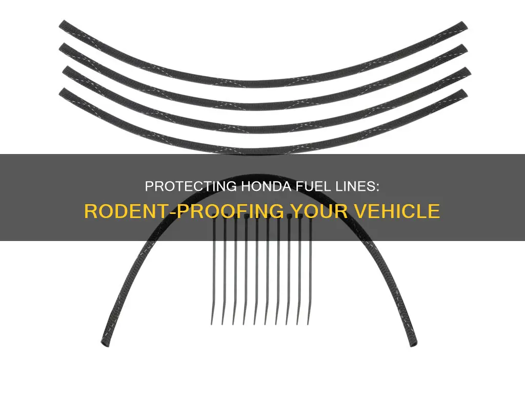how to protect honda fuel line from rodentd