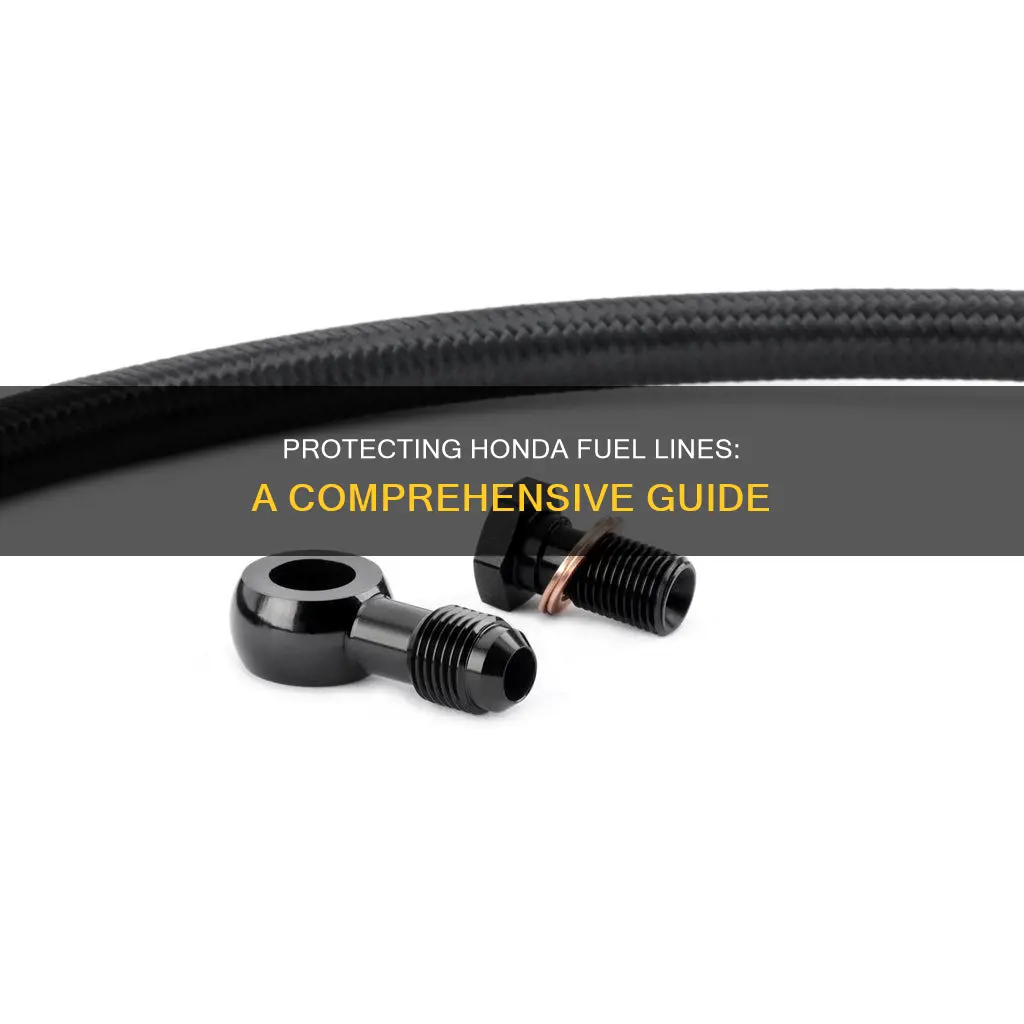 how to protect honda fuel line
