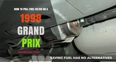 Grand Prix Fuel Filter: Easy Pull Guide