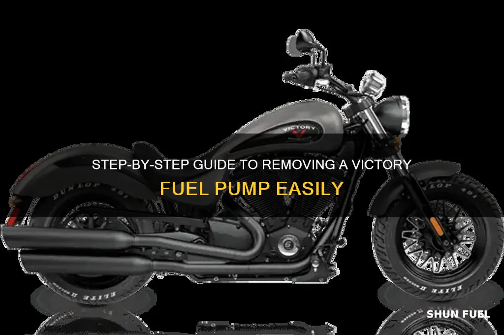 how to pull victory fuel pump