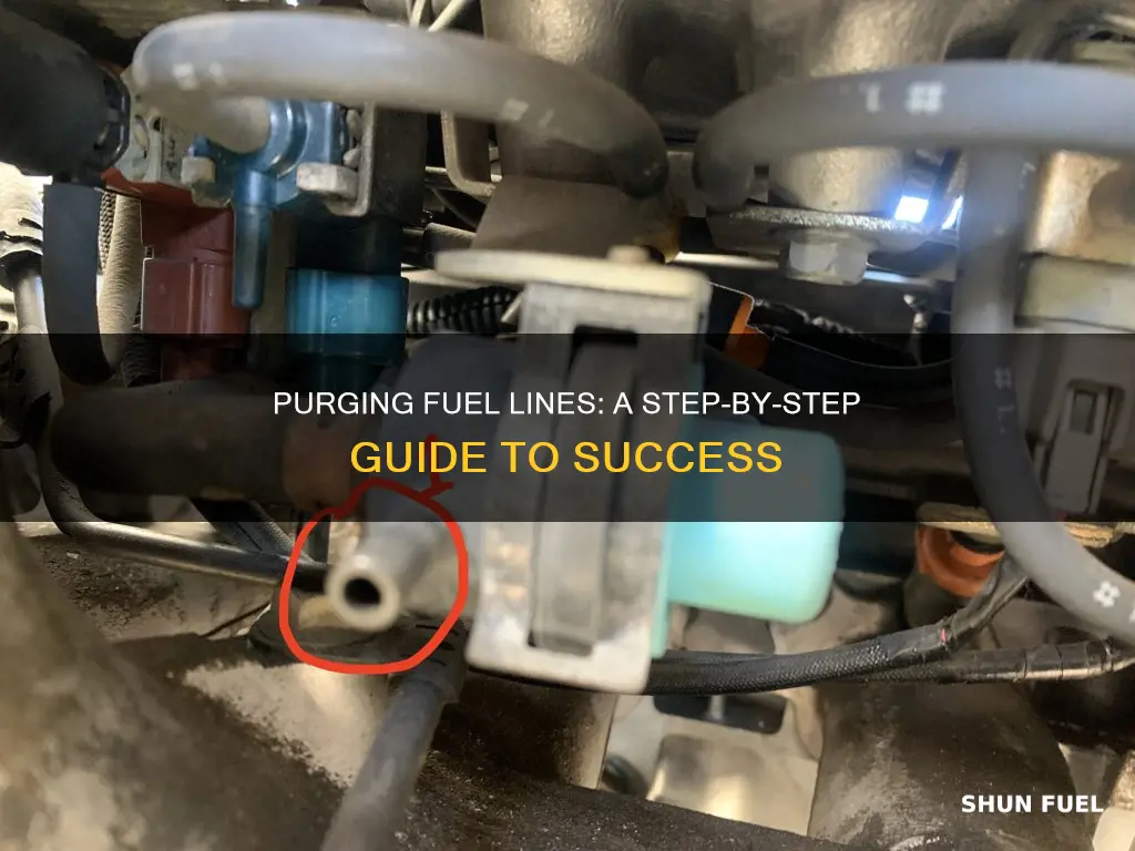 how to purge a fuel line