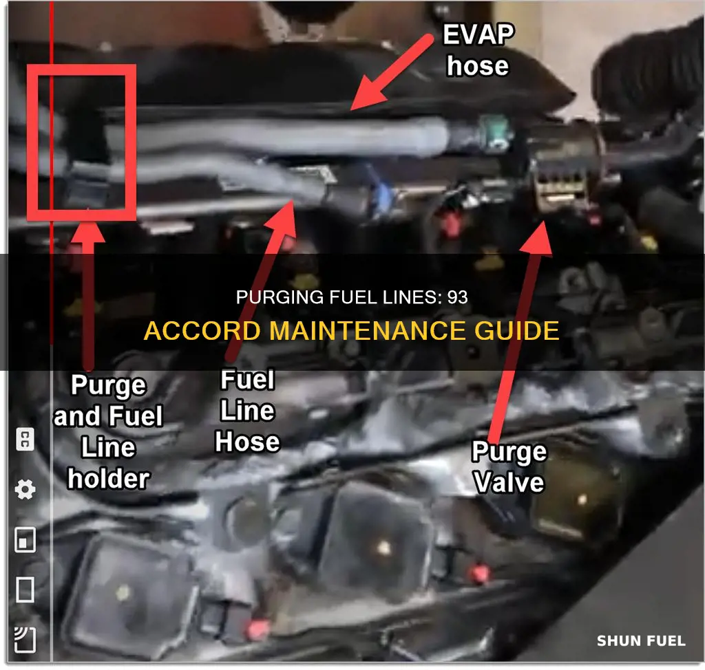 how to purge fuel line on 93 accord