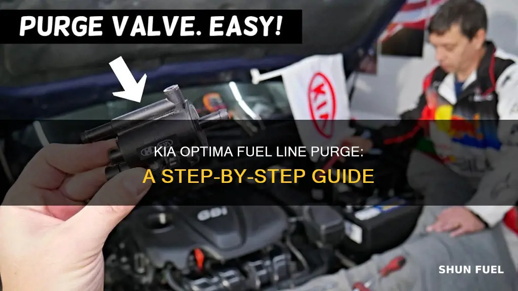 how to purge fuel lines kia optima