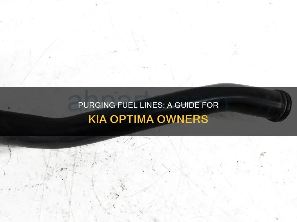 how to purge fuel lines kia optima