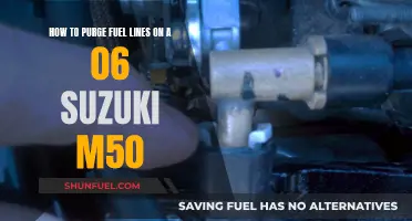 Fuel Line Maintenance: Purging the 06 Suzuki M50's Lines