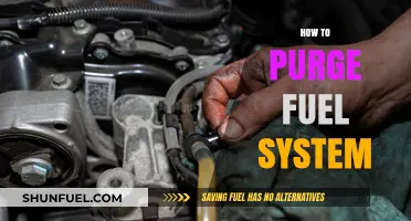 Complete Guide to Purging Your Fuel System Safely and Effectively