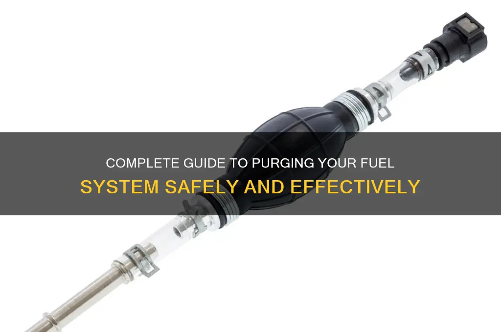 how to purge fuel system