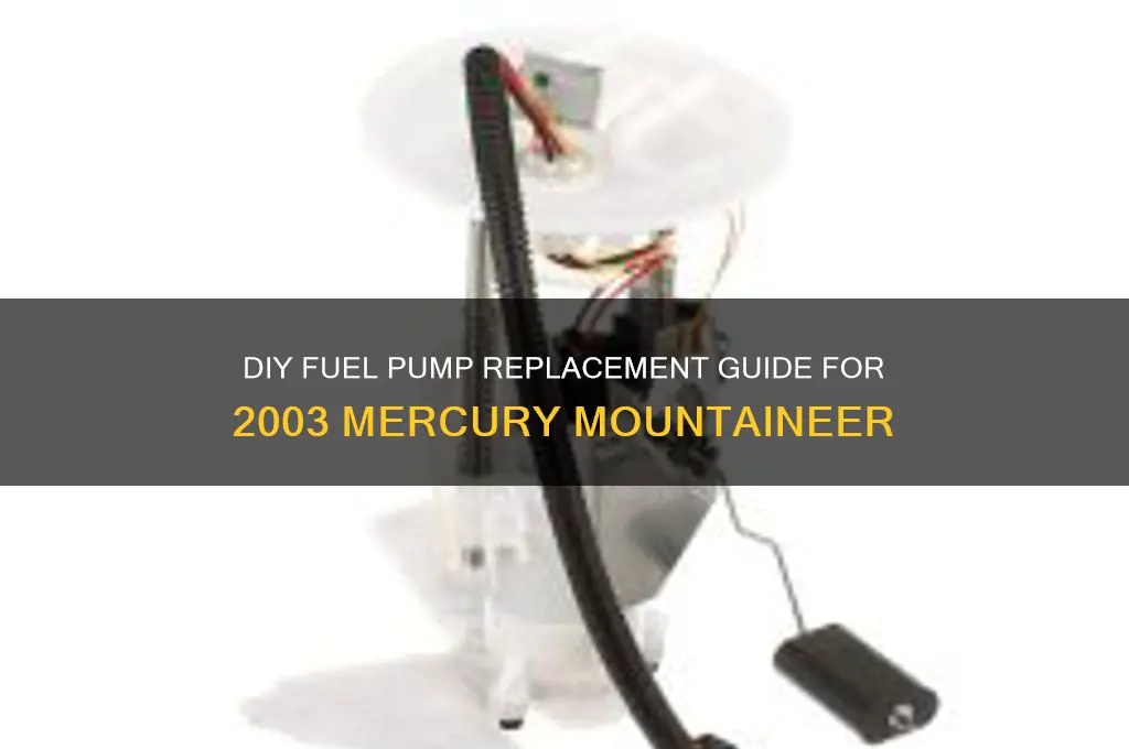 how to put a fuel pump in a 2003 mountaineer
