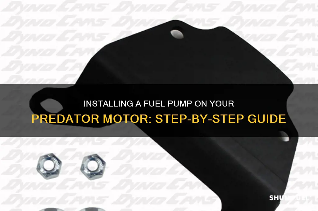 how to put a fuel pump on a predator motor