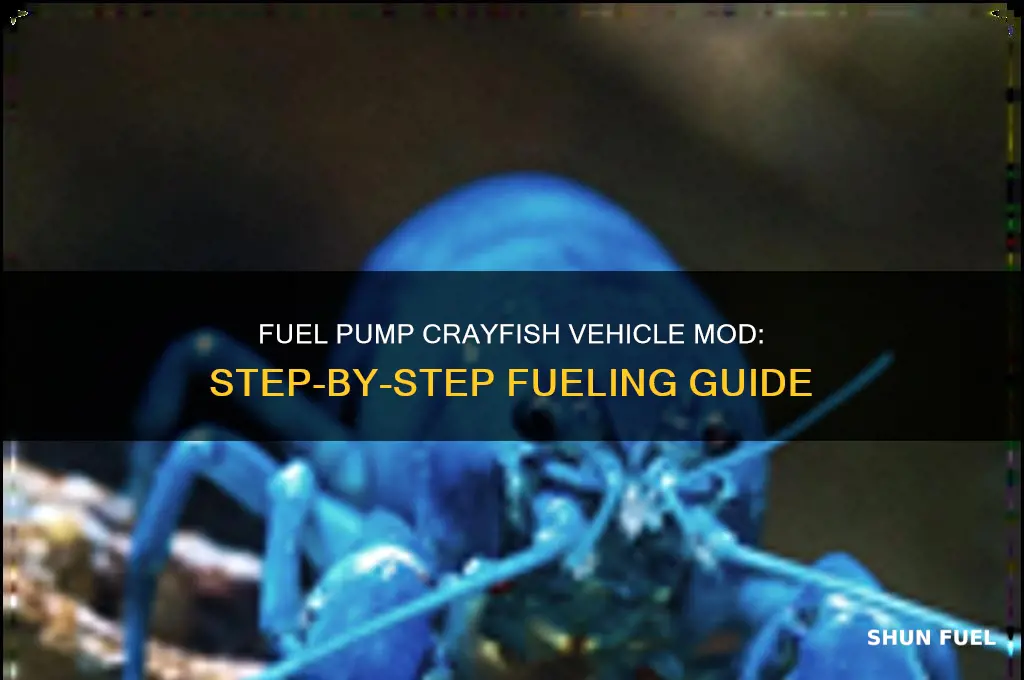 how to put fuel into fuel pump crayfish vehicle mod