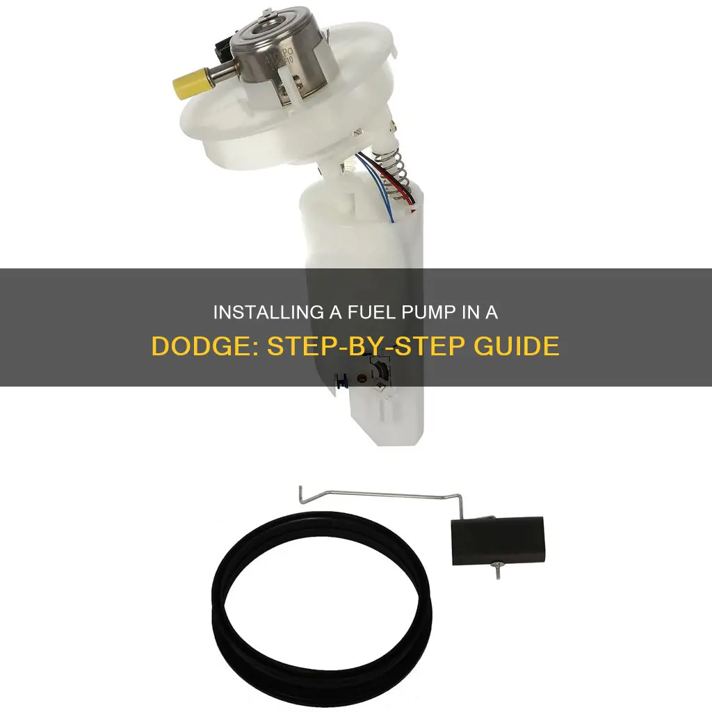 how to put fuel pump in gas tank dodge