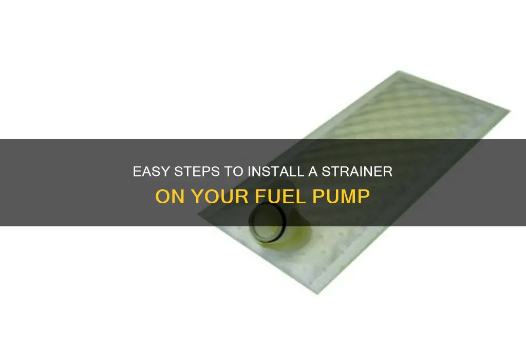 how to put strainer on fuel pump