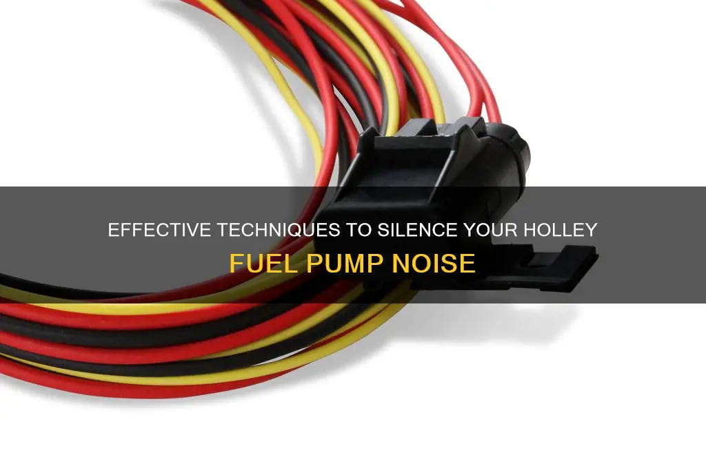 how to quiet a holley fuel pump