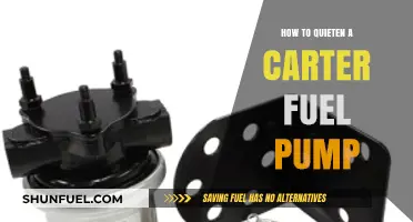 Effective Techniques to Silence Your Carter Fuel Pump Noise