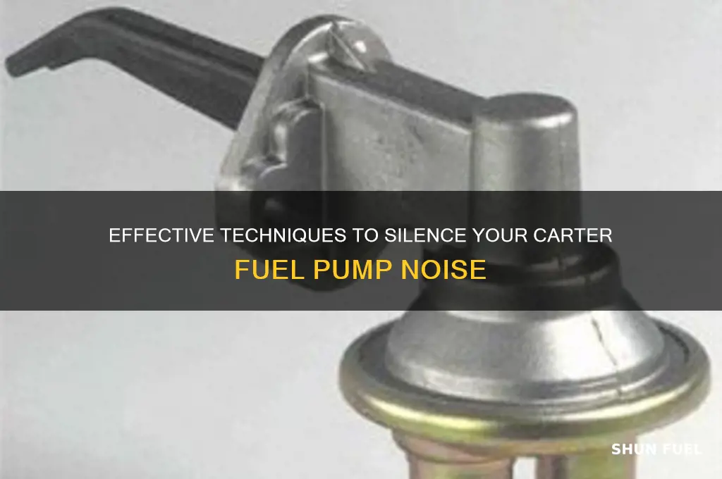 how to quieten a carter fuel pump