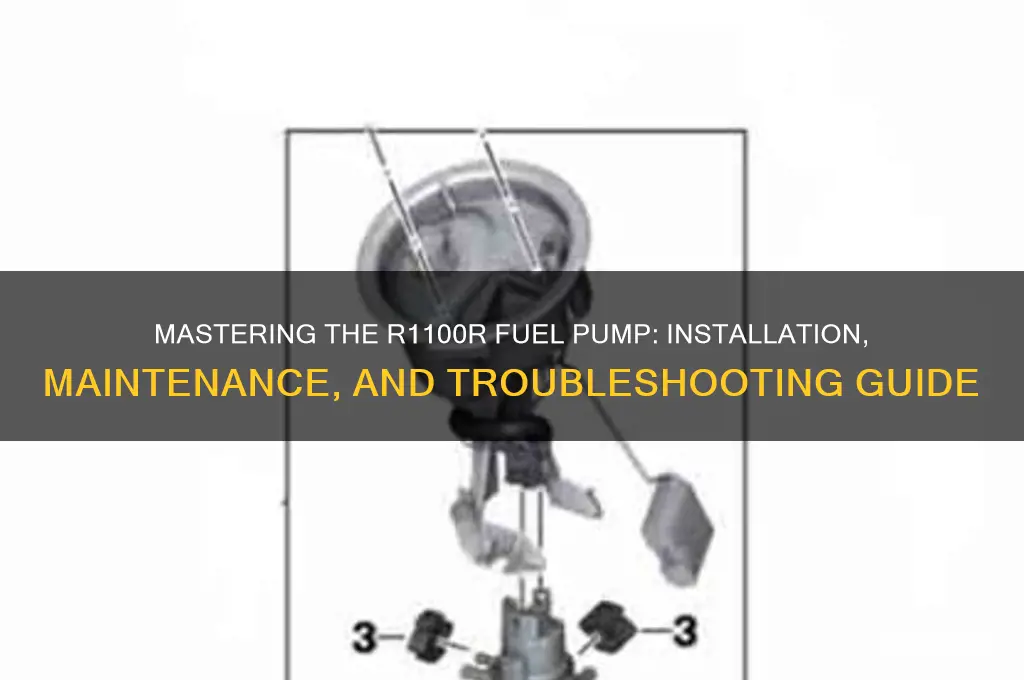how to r1100r fuel pump