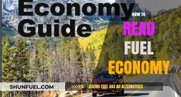 Mastering Fuel Economy: A Comprehensive Guide to Reading and Understanding
