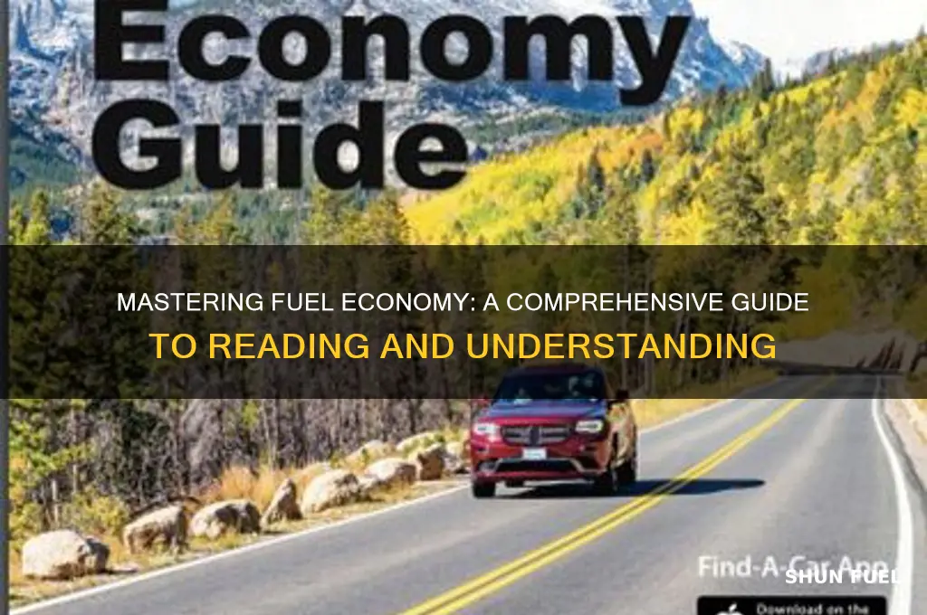 how to read fuel economy