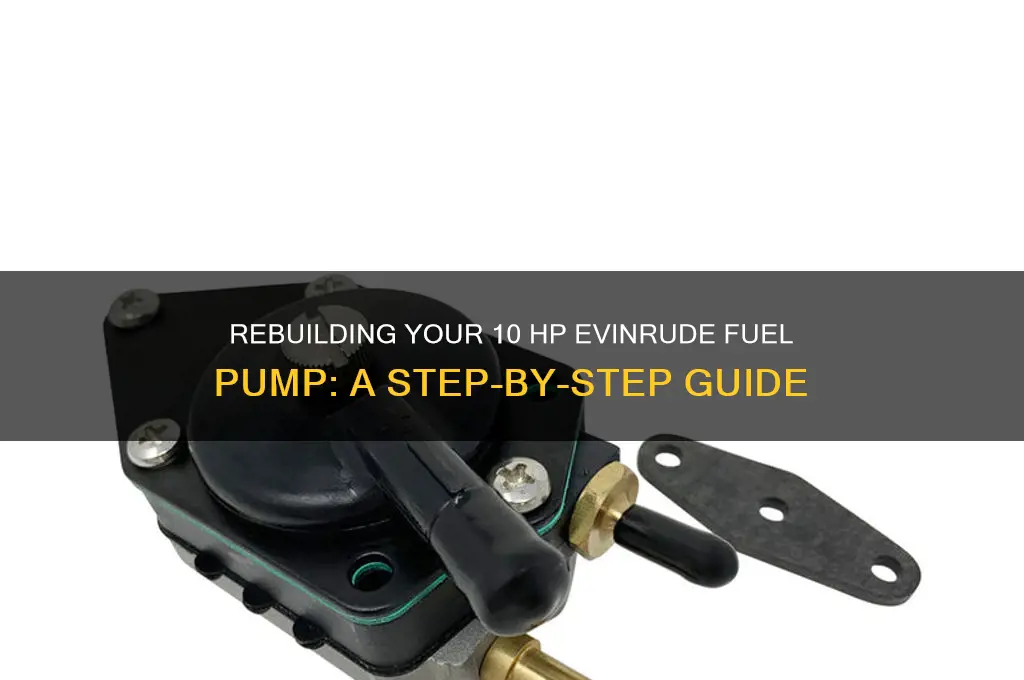 how to rebuild 10 hp evinrude fuel pump