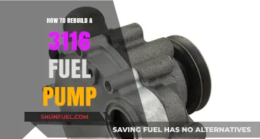 Rebuilding a 3116 Fuel Pump: Step-by-Step Guide and Tips